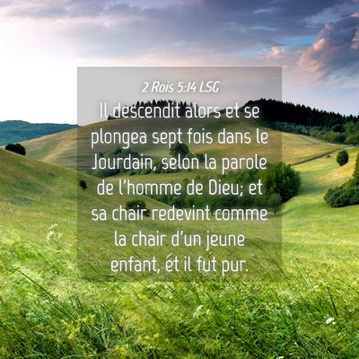 Picture 04 - 2 Rois 5:14 LSG - Il descendit alors et se plongea sept fois dans - Bible Verse Picture