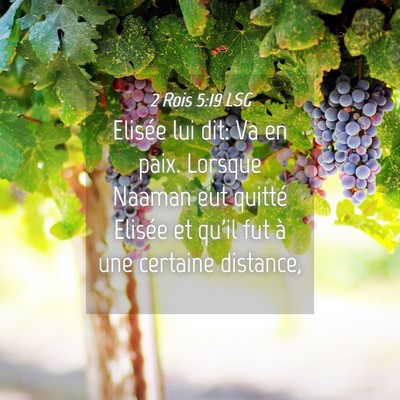 Picture 04 - 2 Rois 5:19 LSG - Elisée lui dit: Va en paix. Lorsque Naaman eut - Bible Verse Picture