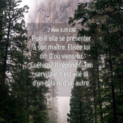 Picture 04 - 2 Rois 5:25 LSG - Puis il alla se présenter à son maître. - Bible Verse Picture