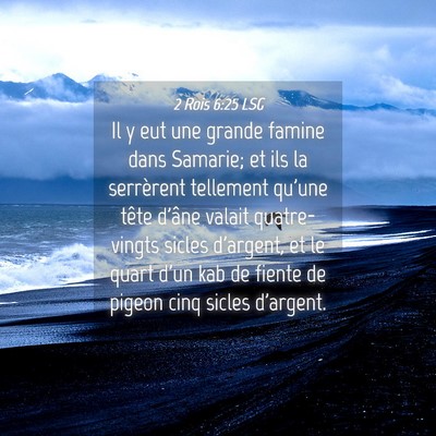 Picture 04 - 2 Rois 6:25 LSG - Il y eut une grande famine dans Samarie; et ils - Bible Verse Picture