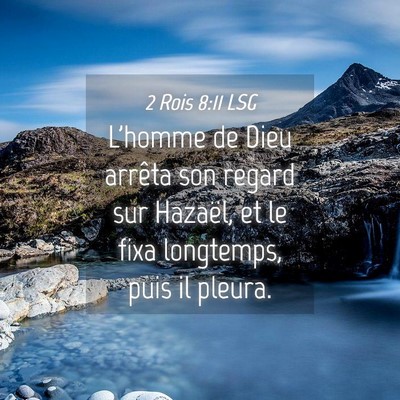 Picture 04 - 2 Rois 8:11 LSG - L'homme de Dieu arrêta son regard sur Hazaël, - Bible Verse Picture