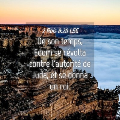 Picture 04 - 2 Rois 8:20 LSG - De son temps, Edom se révolta contre l'autorité - Bible Verse Picture
