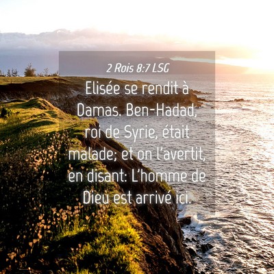 Picture 04 - 2 Rois 8:7 LSG - Elisée se rendit à Damas. Ben-Hadad, roi de - Bible Verse Picture