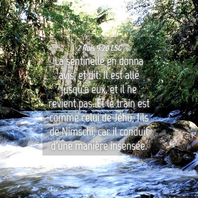 Picture 04 - 2 Rois 9:20 LSG - La sentinelle en donna avis, et dit: Il est allé - Bible Verse Picture