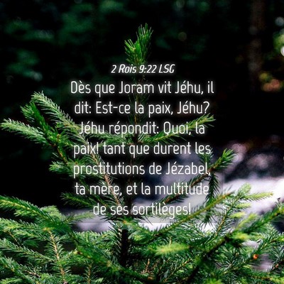 Picture 04 - 2 Rois 9:22 LSG - Dès que Joram vit Jéhu, il dit: Est-ce la paix, - Bible Verse Picture
