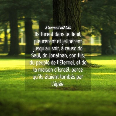Picture 04 - 2 Samuel 1:12 LSG - Ils furent dans le deuil, pleurèrent et - Bible Verse Picture