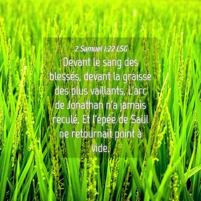 Picture 04 - 2 Samuel 1:22 LSG - Devant le sang des blessés, devant la graisse - Bible Verse Picture