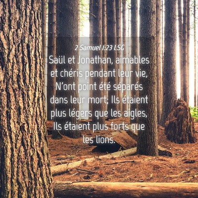 Picture 04 - 2 Samuel 1:23 LSG - Saül et Jonathan, aimables et chéris pendant - Bible Verse Picture
