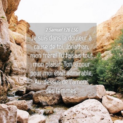 Picture 04 - 2 Samuel 1:26 LSG - Je suis dans la douleur à cause de toi, - Bible Verse Picture