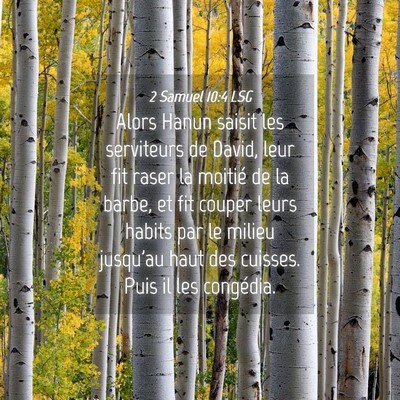Picture 04 - 2 Samuel 10:4 LSG - Alors Hanun saisit les serviteurs de David, leur - Bible Verse Picture