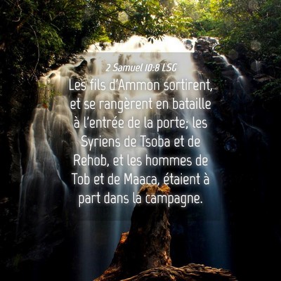 Picture 04 - 2 Samuel 10:8 LSG - Les fils d'Ammon sortirent, et se rangèrent en - Bible Verse Picture
