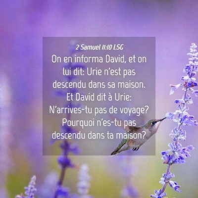 Picture 04 - 2 Samuel 11:10 LSG - On en informa David, et on lui dit: Urie n'est - Bible Verse Picture