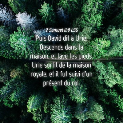 Picture 04 - 2 Samuel 11:8 LSG - Puis David dit à Urie: Descends dans ta maison, - Bible Verse Picture
