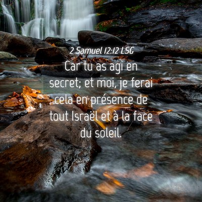 Picture 04 - 2 Samuel 12:12 LSG - Car tu as agi en secret; et moi, je ferai cela en - Bible Verse Picture