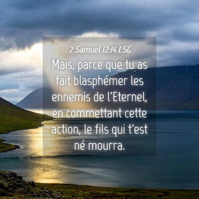 Picture 04 - 2 Samuel 12:14 LSG - Mais, parce que tu as fait blasphémer les - Bible Verse Picture