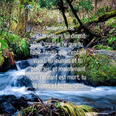 Picture 04 - 2 Samuel 12:21 LSG - Ses serviteurs lui dirent: Que signifie ce que tu - Bible Verse Picture