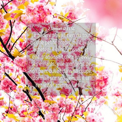 Picture 04 - 2 Samuel 12:3 LSG - Le pauvre n'avait rien du tout qu'une petite - Bible Verse Picture