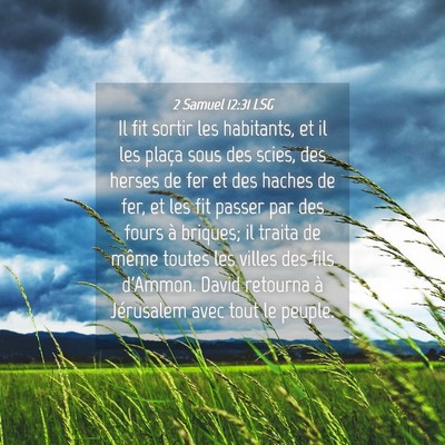 Picture 04 - 2 Samuel 12:31 LSG - Il fit sortir les habitants, et il les plaça - Bible Verse Picture