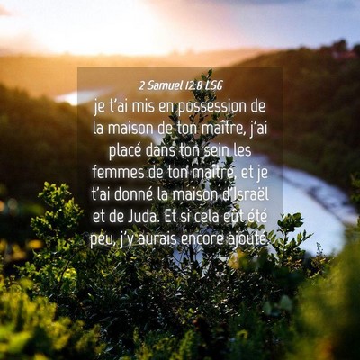 Picture 04 - 2 Samuel 12:8 LSG - je t'ai mis en possession de la maison de ton - Bible Verse Picture