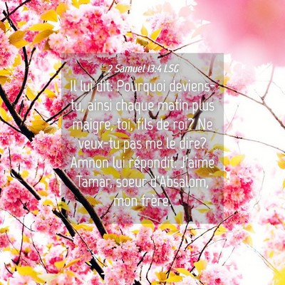Picture 04 - 2 Samuel 13:4 LSG - Il lui dit: Pourquoi deviens-tu, ainsi chaque - Bible Verse Picture