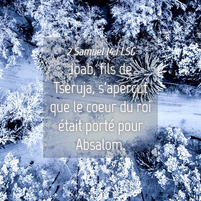 Picture 04 - 2 Samuel 14:1 LSG - Joab, fils de Tseruja, s'aperçut que le coeur du - Bible Verse Picture