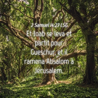 Picture 04 - 2 Samuel 14:23 LSG - Et Joab se leva et partit pour Gueschur, et il - Bible Verse Picture