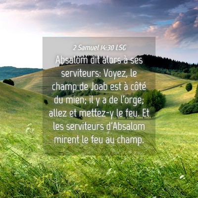 Picture 04 - 2 Samuel 14:30 LSG - Absalom dit alors à ses serviteurs: Voyez, le - Bible Verse Picture