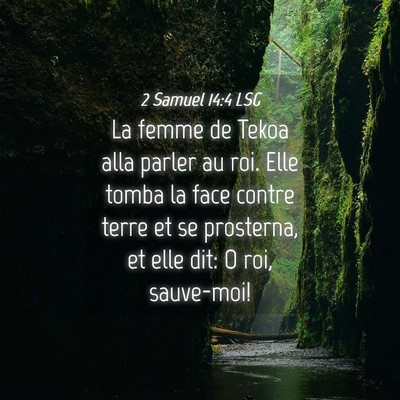Picture 04 - 2 Samuel 14:4 LSG - La femme de Tekoa alla parler au roi. Elle tomba - Bible Verse Picture