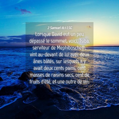 Picture 04 - 2 Samuel 16:1 LSG - Lorsque David eut un peu dépassé le sommet, - Bible Verse Picture