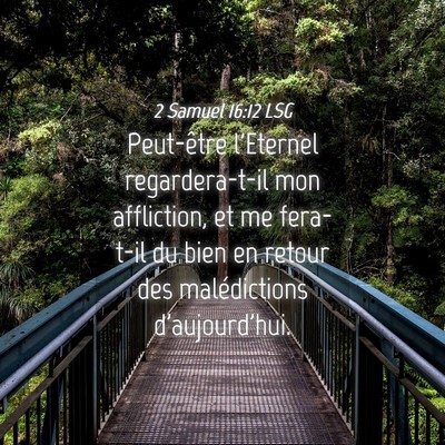 Picture 04 - 2 Samuel 16:12 LSG - Peut-être l'Eternel regardera-t-il mon - Bible Verse Picture