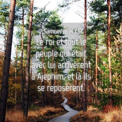 Picture 04 - 2 Samuel 16:14 LSG - Le roi et tout le peuple qui était avec lui - Bible Verse Picture