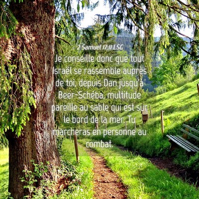 Picture 04 - 2 Samuel 17:11 LSG - Je conseille donc que tout Israël se rassemble - Bible Verse Picture