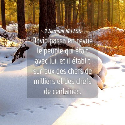Picture 04 - 2 Samuel 18:1 LSG - David passa en revue le peuple qui était avec - Bible Verse Picture