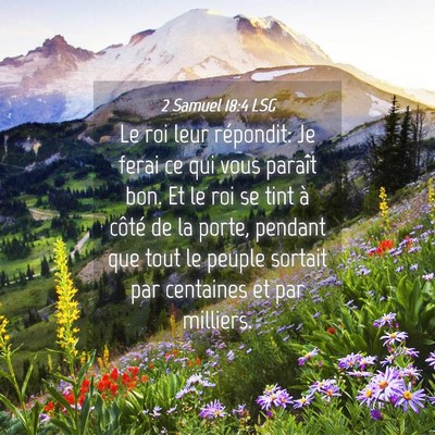 Picture 04 - 2 Samuel 18:4 LSG - Le roi leur répondit: Je ferai ce qui vous - Bible Verse Picture