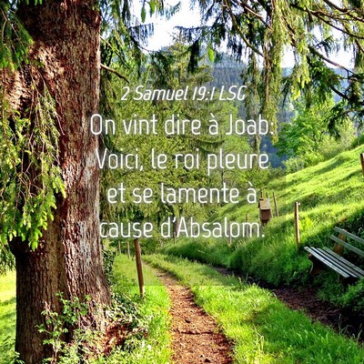 Picture 04 - 2 Samuel 19:1 LSG - On vint dire à Joab: Voici, le roi pleure et se - Bible Verse Picture
