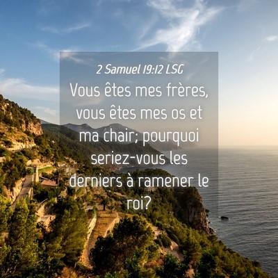 Picture 04 - 2 Samuel 19:12 LSG - Vous êtes mes frères, vous êtes mes os et ma - Bible Verse Picture