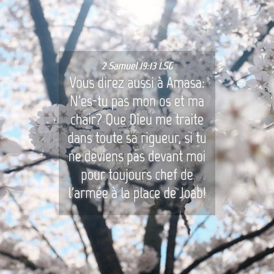 Picture 04 - 2 Samuel 19:13 LSG - Vous direz aussi à Amasa: N'es-tu pas mon os et - Bible Verse Picture