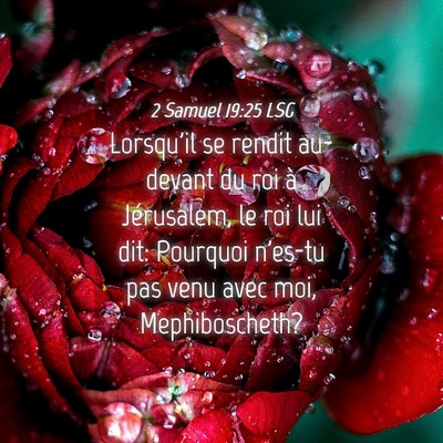 Picture 04 - 2 Samuel 19:25 LSG - Lorsqu'il se rendit au-devant du roi à - Bible Verse Picture