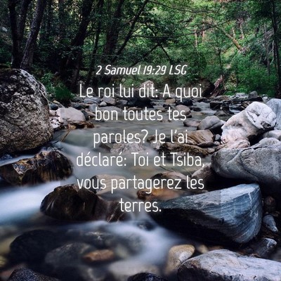Picture 04 - 2 Samuel 19:29 LSG - Le roi lui dit: A quoi bon toutes tes paroles? Je - Bible Verse Picture