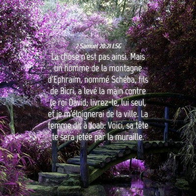Picture 04 - 2 Samuel 20:21 LSG - La chose n'est pas ainsi. Mais un homme de la - Bible Verse Picture