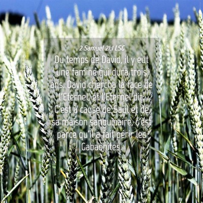 Picture 04 - 2 Samuel 21:1 LSG - Du temps de David, il y eut une famine qui dura - Bible Verse Picture