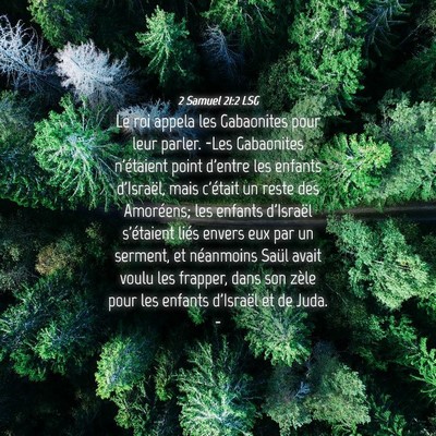 Picture 04 - 2 Samuel 21:2 LSG - Le roi appela les Gabaonites pour leur parler. - Bible Verse Picture