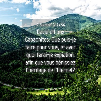Picture 04 - 2 Samuel 21:3 LSG - David dit aux Gabaonites: Que puis-je faire pour - Bible Verse Picture