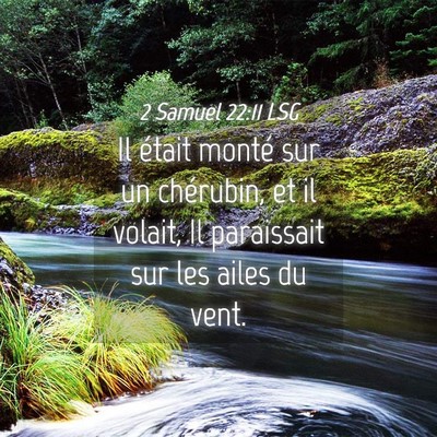 Picture 04 - 2 Samuel 22:11 LSG - Il était monté sur un chérubin, et il volait, - Bible Verse Picture