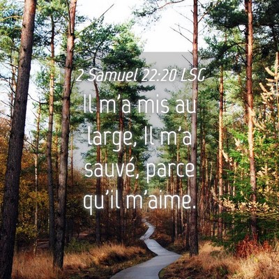 Picture 04 - 2 Samuel 22:20 LSG - Il m'a mis au large, Il m'a sauvé, parce qu'il - Bible Verse Picture