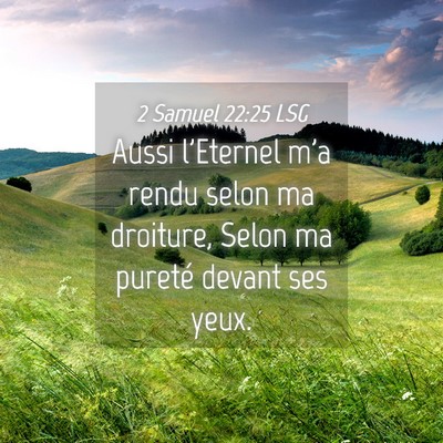 Picture 04 - 2 Samuel 22:25 LSG - Aussi l'Eternel m'a rendu selon ma droiture, - Bible Verse Picture
