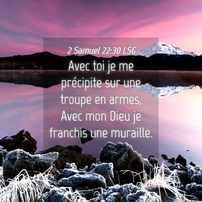 Picture 04 - 2 Samuel 22:30 LSG - Avec toi je me précipite sur une troupe en - Bible Verse Picture