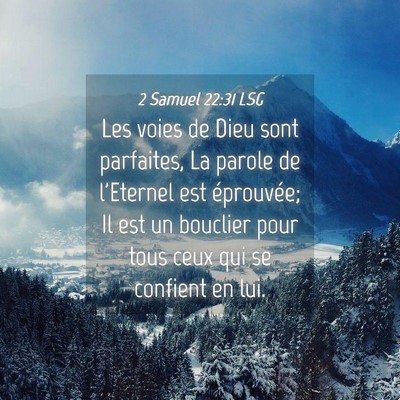 Picture 04 - 2 Samuel 22:31 LSG - Les voies de Dieu sont parfaites, La parole de - Bible Verse Picture