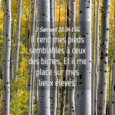 Picture 04 - 2 Samuel 22:34 LSG - Il rend mes pieds semblables à ceux des biches, - Bible Verse Picture