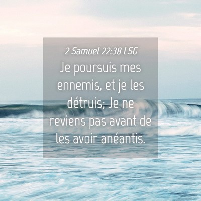Picture 04 - 2 Samuel 22:38 LSG - Je poursuis mes ennemis, et je les détruis; Je - Bible Verse Picture